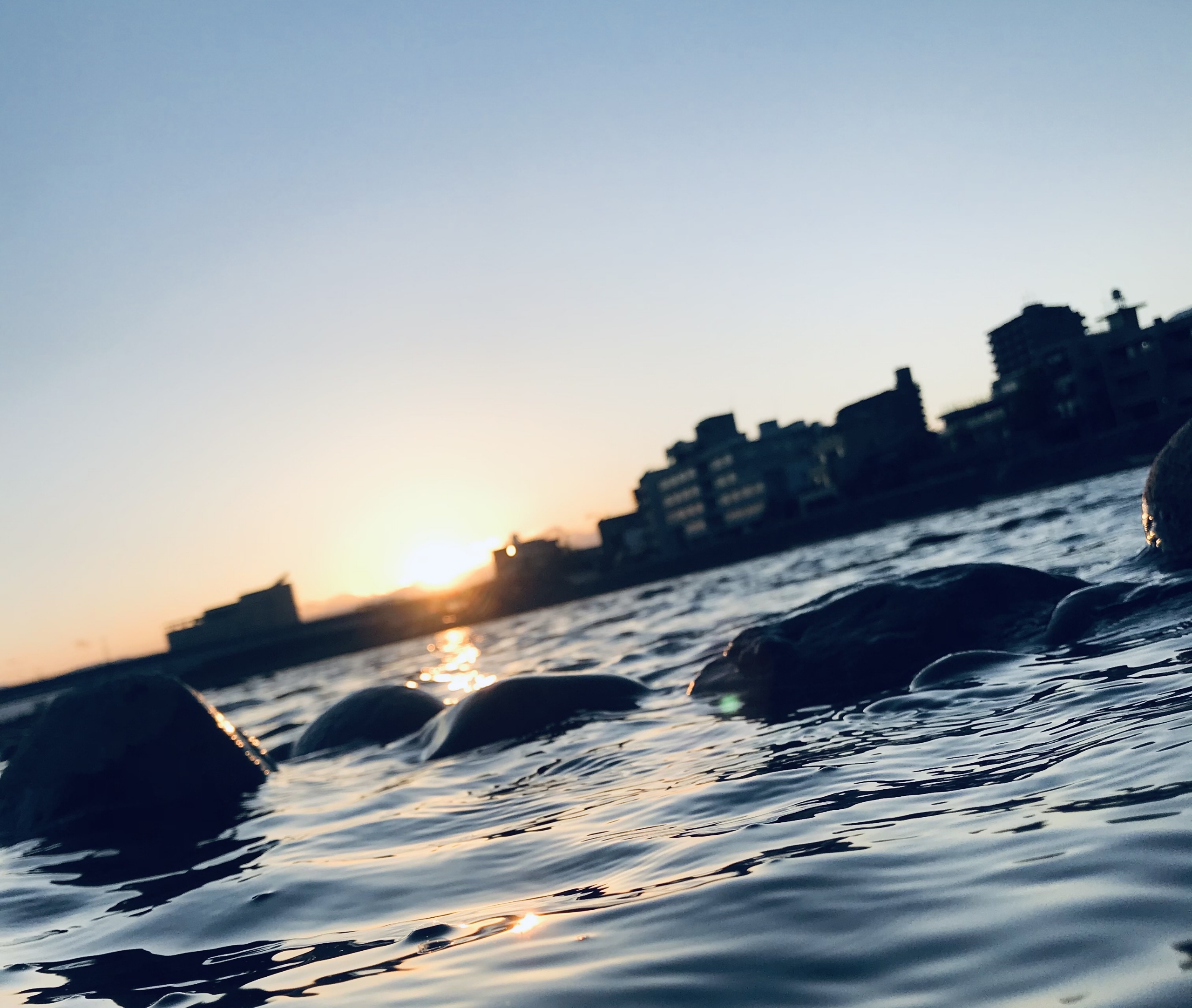 水面の写真