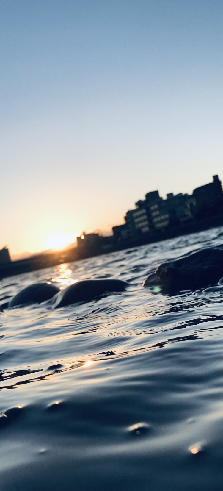 水面の写真