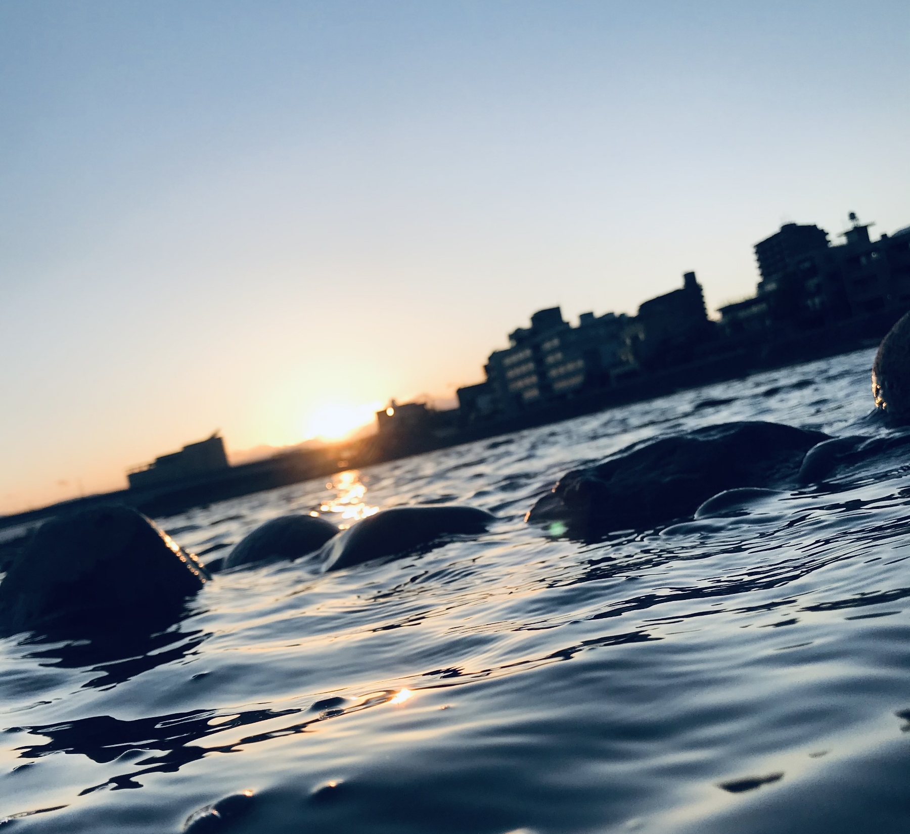 水面の写真